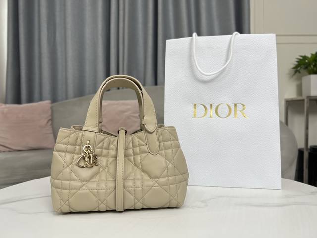 Top-Quality Original Piece 9282 Light Apricot This Dior Toujours Handbag Made It