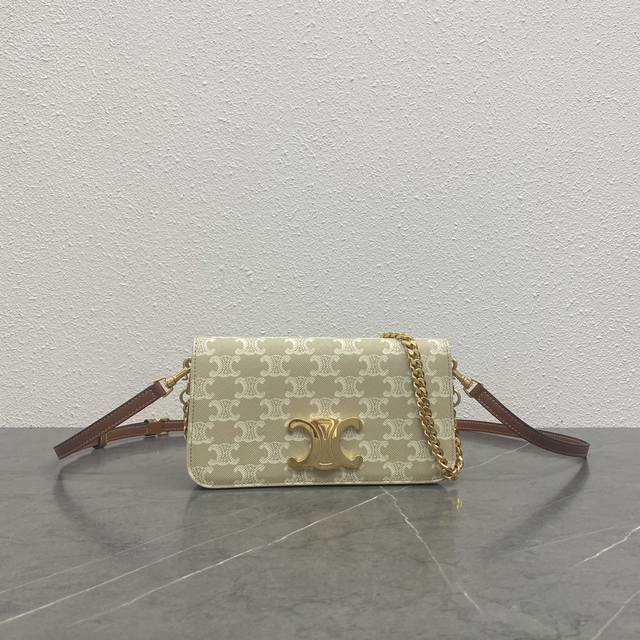 Authentic Grade New Arrival Celine New Arrival. Triomphe Canvas Signature Print