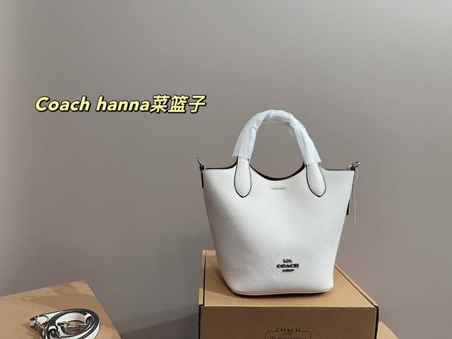 Airplane Box Size 16.19 Coach Hanna Basket Bag