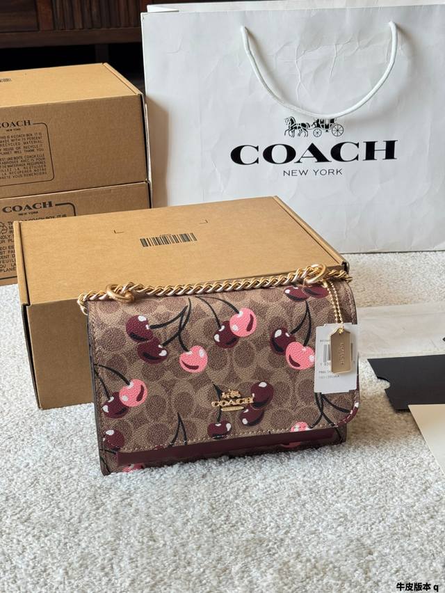 Leather Version Coach New Arrival Accordion Bag, Cherry Graffiti C-Series New Kl
