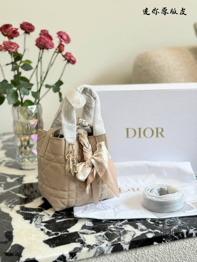 Dior Mini