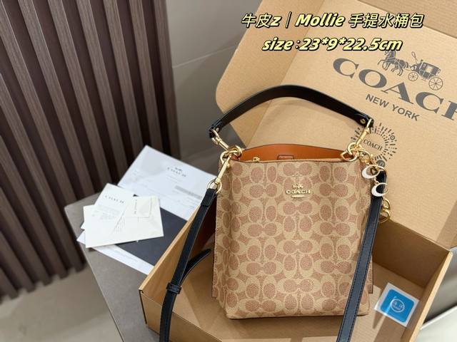 Premium Leather Edition With Extendable Chain Comes With A Foldable Box Coach Mo
