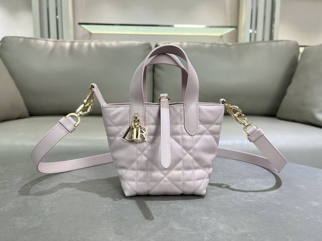 Authentic This Miniature Dior Toujours Vertical Handbag Is A New Product In The