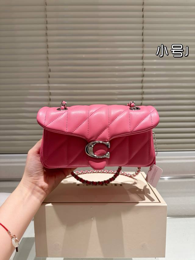 Small Small 20.11 With Gift Box Coach Dionysus New Product Quilted Tabby Chain V