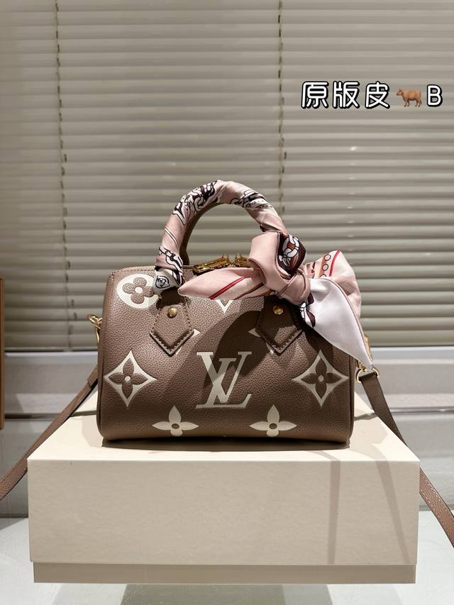 Cowhide, All Steel, Hardware And Silk Scarf Lv Speedy 20Cm Pillow Bag, No Matter