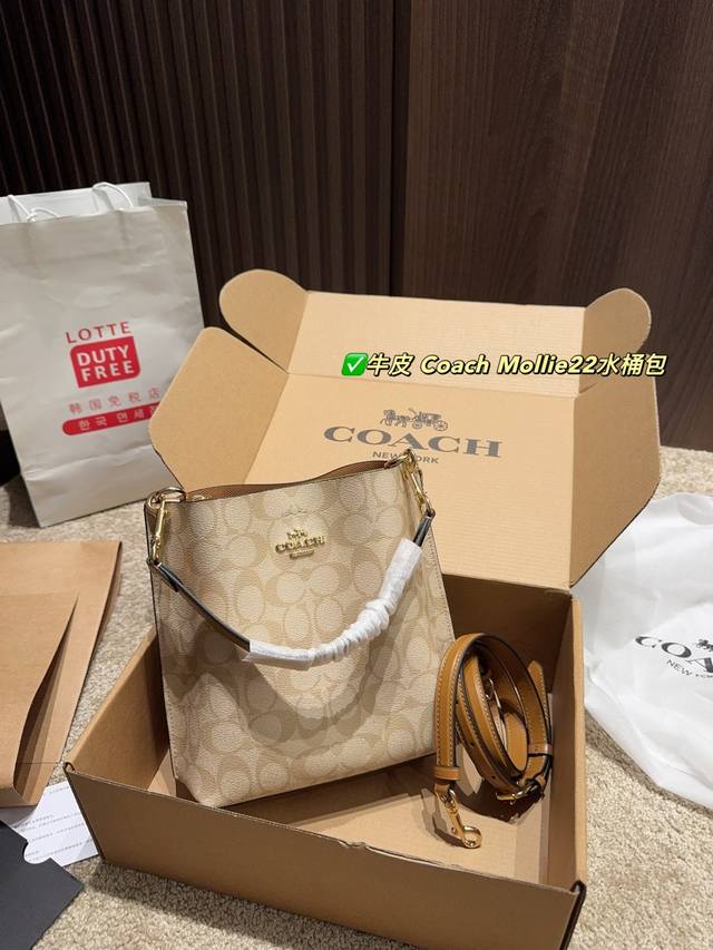 Cowhide Aircraft Box Size 24.21 Coach Mollie 22 Bucket Bag