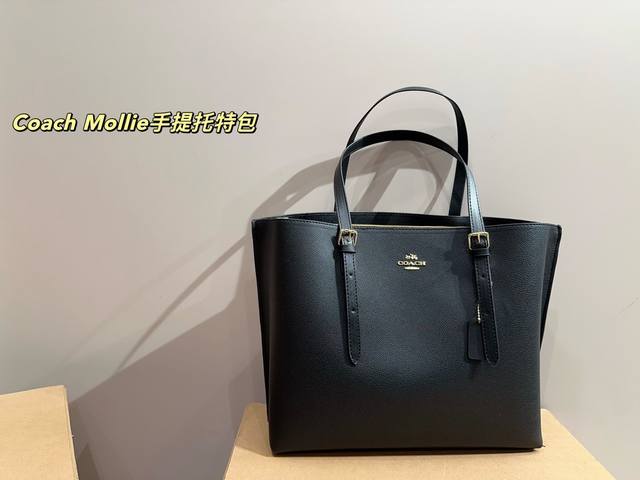 Size 34.28 Coach Mollie Hand Tote Bag