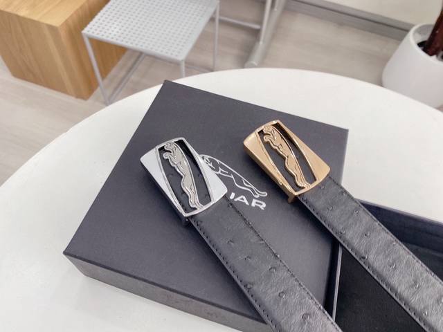 Jaguar, The World's Largest Luxury Fashion Holding Company, Is Renowned Globally