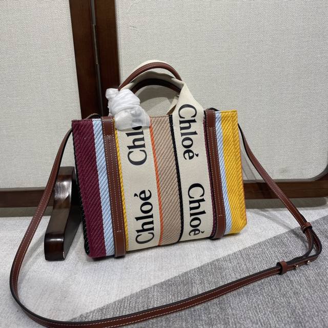 Small Rainbow Colorway New Year's New Arrival Chloe Rainbow Woody Tote - New Mem