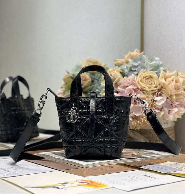 Authentic High Version Micro Dior Toujours Vertical Handbag Waxed Black This Mic