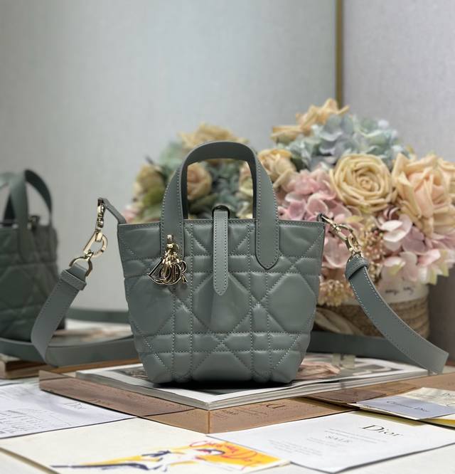 authentic High Version Micro Dior Toujours Vertical Handbag Gray This Micro D
