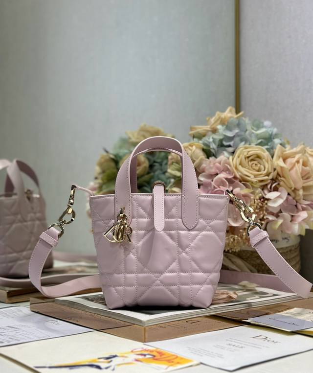 Authentic High Version Micro Dior Toujours Vertical Handbag Pink This Micro Dior