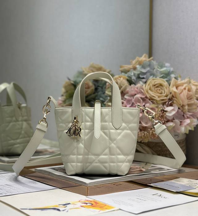 authentic High Version Micro Dior Toujours Vertical Handbag White This Micro