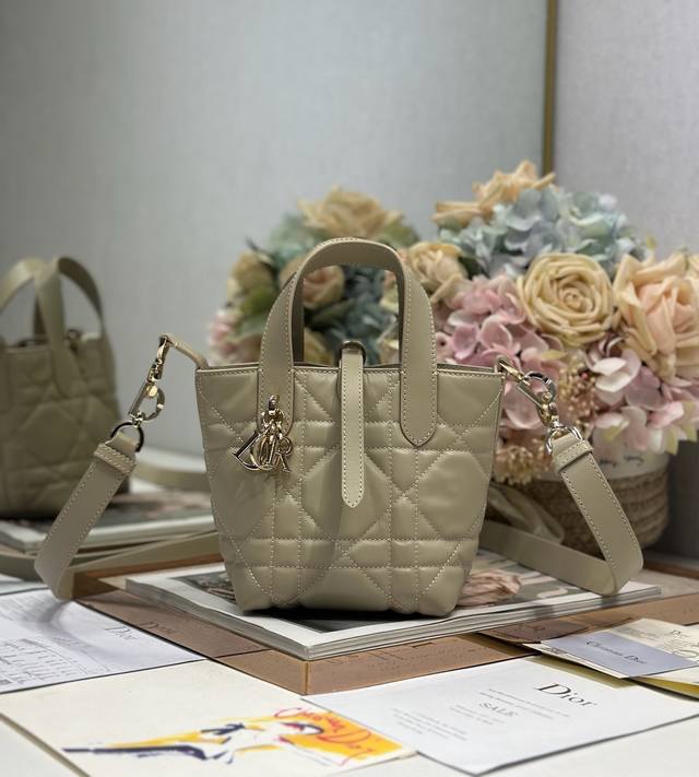 authentic High Version Micro Dior Toujours Vertical Handbag Apricot This Micr