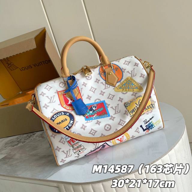 163C01 Chip Version Internal Price P Model Number M14587 Original Enhanced Ve