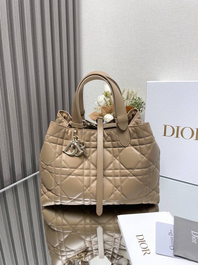 t Toujours Medium Brown This Toujours Bag Made Its Debut At The 2023 Spring/S