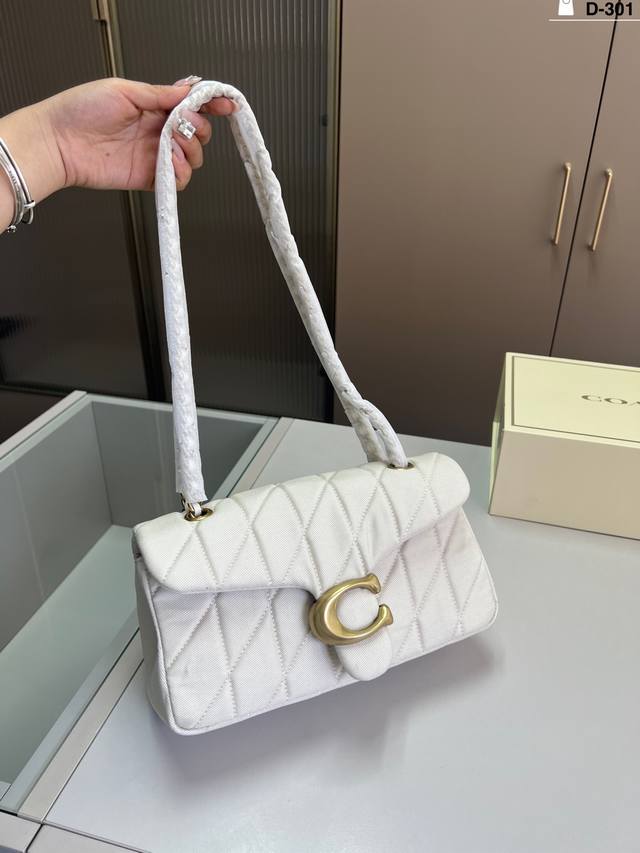 Coach Tabby Dionysus Chain Bag Coach Chain Bag Is Absolutely A Versatile Artifac