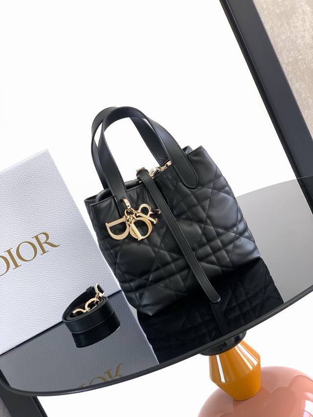 A stylish and practical bag, this vertical Dior Toujours bag is a style statemen