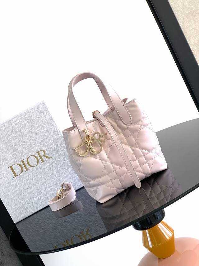 This vertical Dior Toujours bag is stylish and practical, with a unique style. C