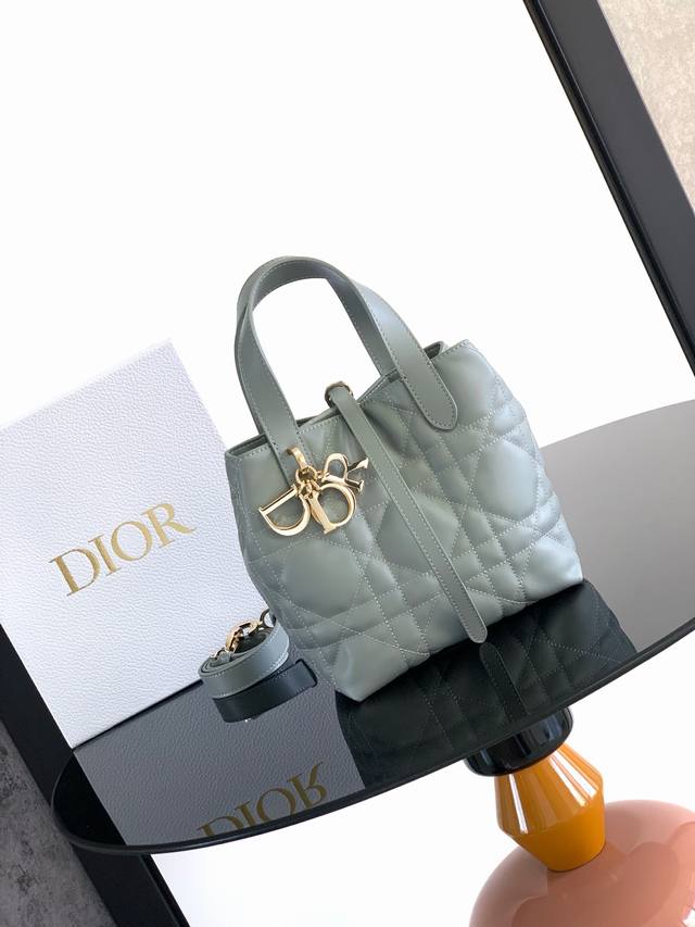 A stylish and practical bag, this vertical Dior Toujours bag is a standout. Craf