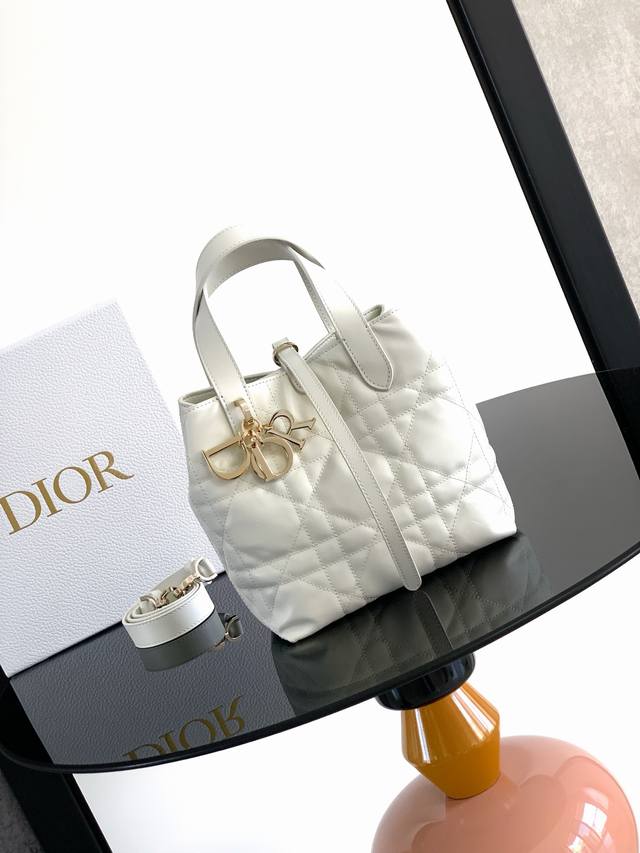 This vertical Dior Toujours bag is stylish and practical, with a unique style. C