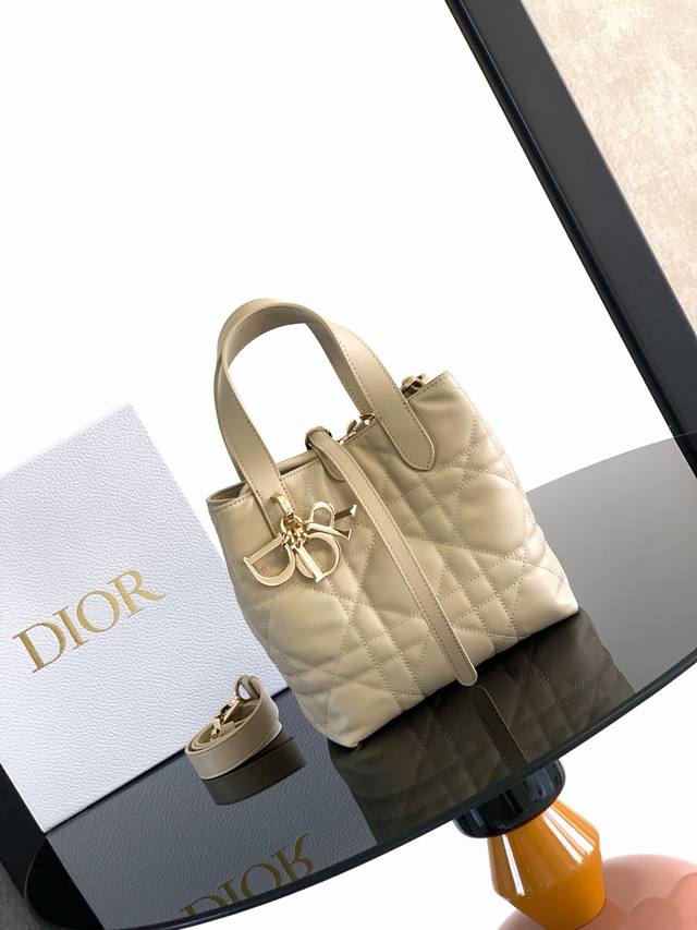 This vertical Dior Toujours bag is stylish and practical, with a unique style. C