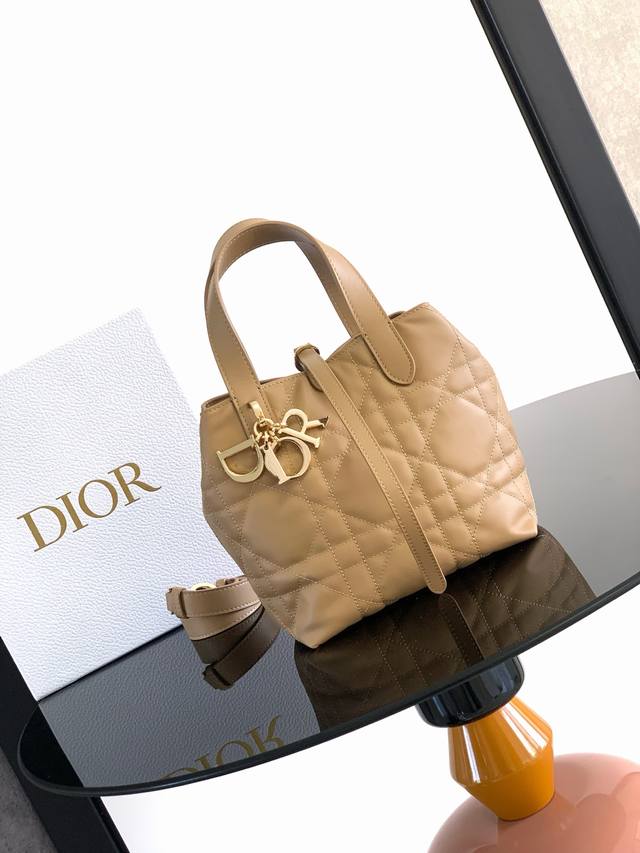 This vertical Dior Toujours bag is stylish and practical, with a unique style. C
