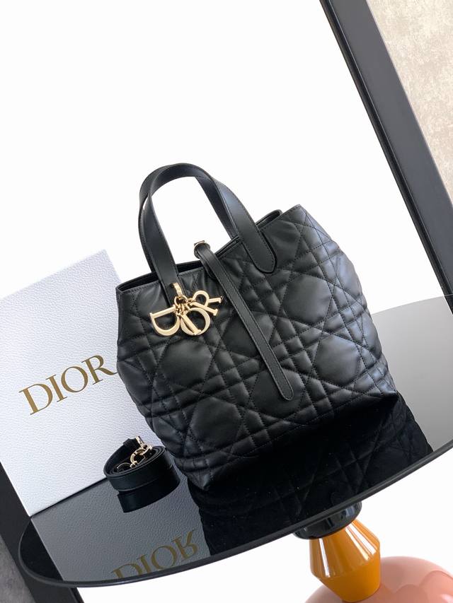 This vertical Dior Toujours bag is stylish and practical, with a unique style. C