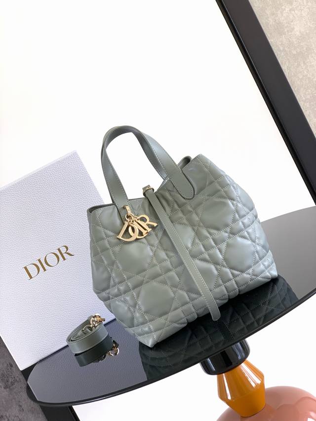 This vertical Dior Toujours bag is stylish and practical, with a unique style. C