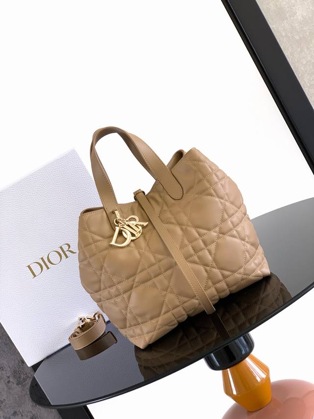 This vertical Dior Toujours bag is stylish and practical, with a unique style. C
