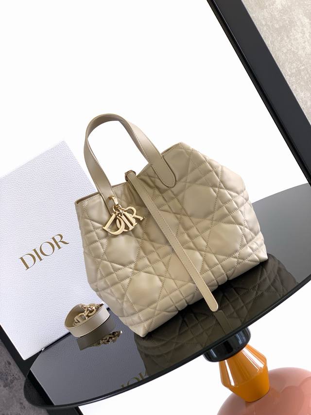 This vertical Dior Toujours bag is stylish and practical, with a unique style. C