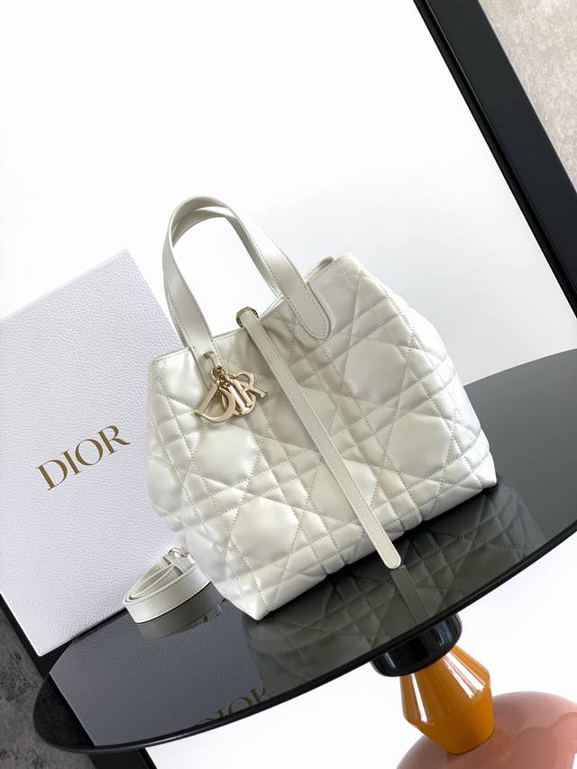 This vertical Dior Toujours bag is stylish and practical, with a unique style. C