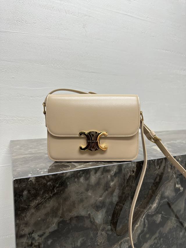 Teen Triomphe Calfskin Handbag with Steel Hardware This small Triomphe handbag i
