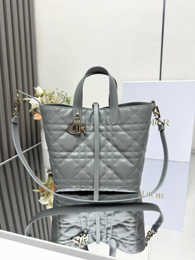 Authentic, high edition This Dior Toujours vertical handbag is stylish, practica