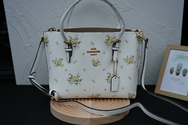 Coach's new product in May, Molie Tote 25, respectfully presented to - a very pe