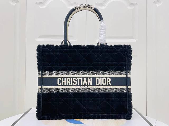 Original 2024 Early Spring model! The Dior Book Tote is inspired by Creative Di