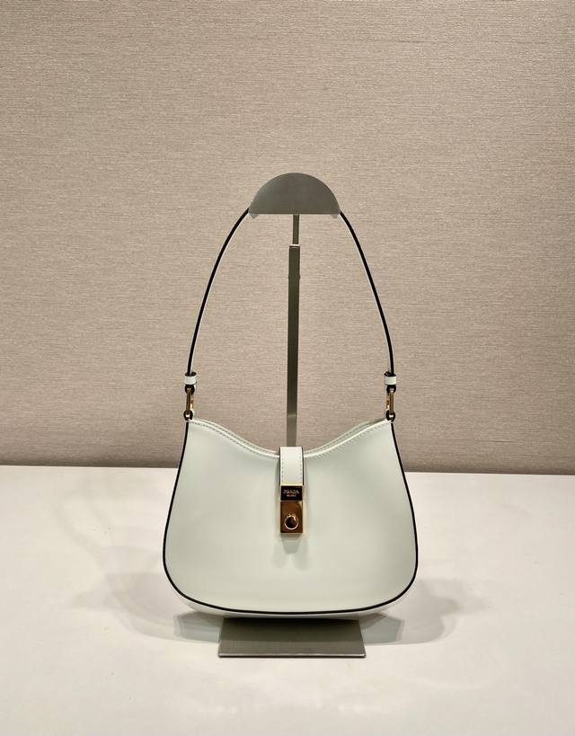 New Underarm Bag 1Bc169A This Cheo shoulder bag is made of imported shiny cowhi