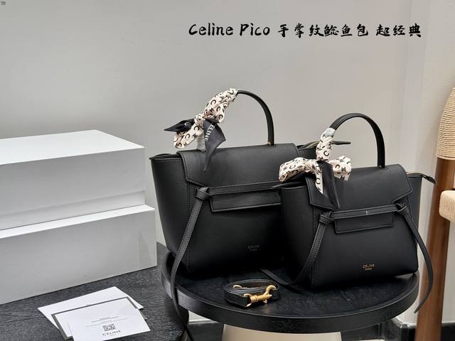 Folding box Size 24.22cm Large 20.19cm Small Celine Pico Catfish Bag Celine Pic