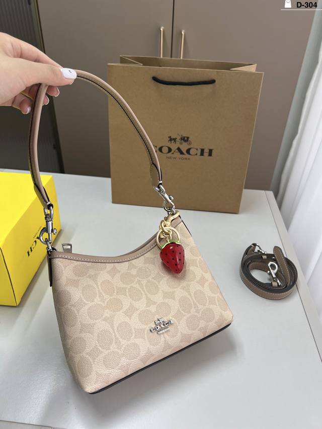 Coach Hobo Tote Bag DDD