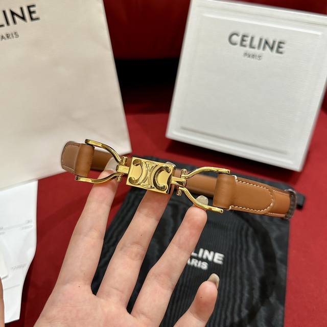 Celine double-sided Italian imported first-layer calfskin, with vacuum electropl