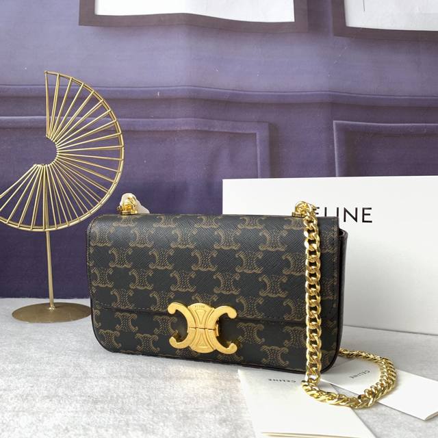 Model No. 197993 Old Color Triomphe Shiny Cowhide Iron Chain Shoulder Bag, Cowhi
