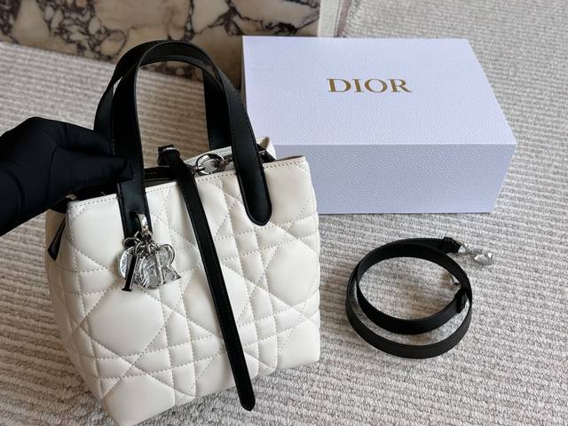 Dior Toujours Black and White Small Toujours Vertical Series Small The most beau