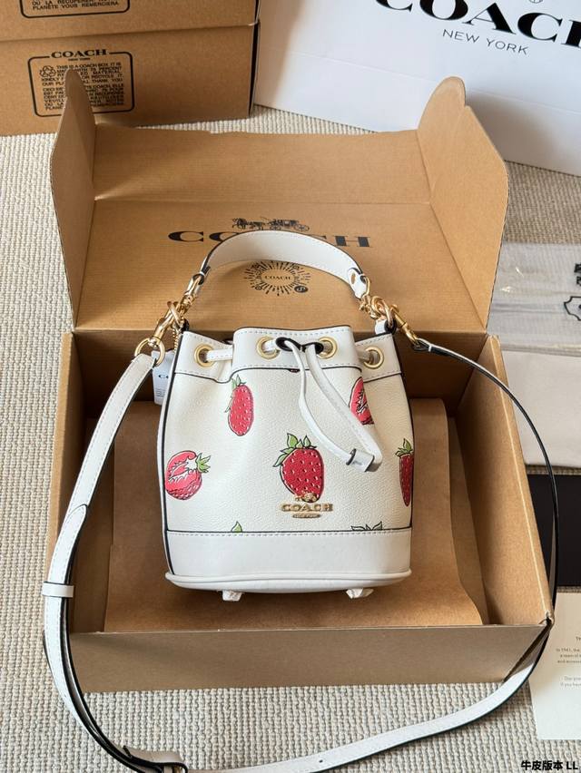 Cowhide version of the Coach Dempsey mini bucket bag. It has two shoulder straps