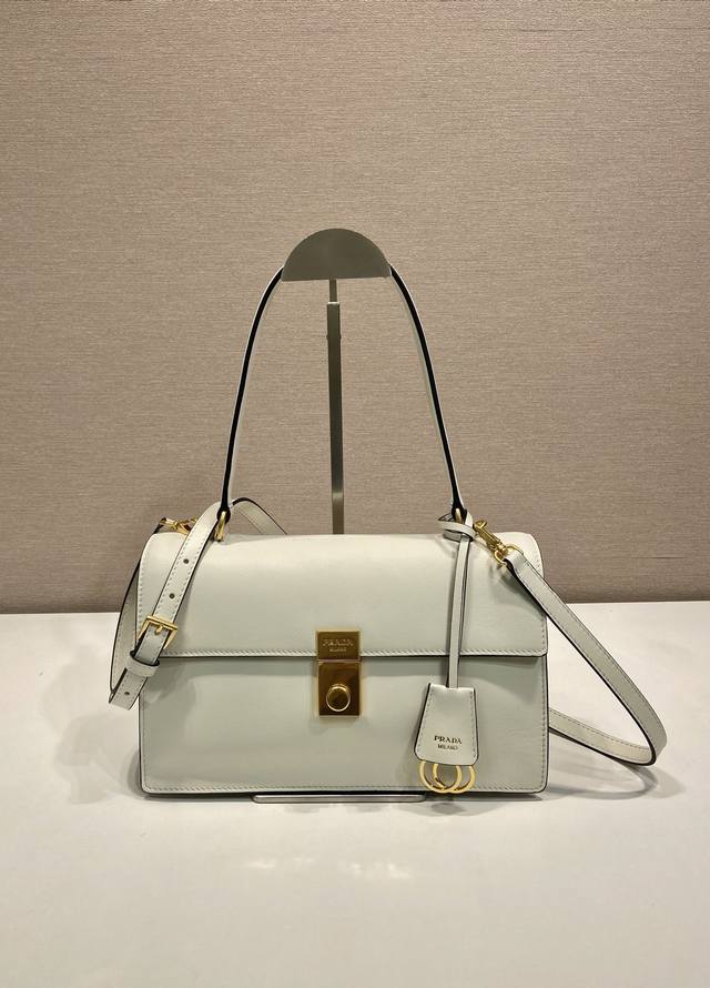 Comes with designer packaging. New runway model 1Bn023 calfskin DDD. This new S