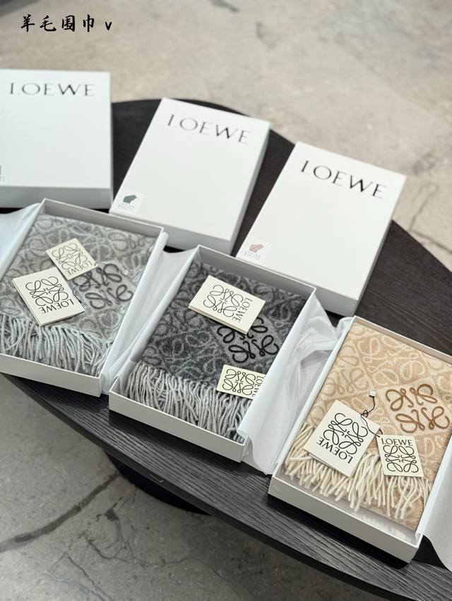The embossed scarf is indeed Loewe. It is so beautiful. The new embossed scarf f