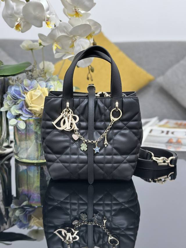 Top-quality original Dior Toujours small vertical bag with a built-in lucky char