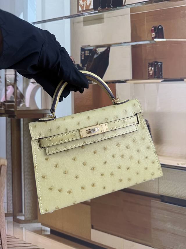 Bargain Deal! 2nd Generation Imported Ostrich Leather, 19cm, with Long Shoulder