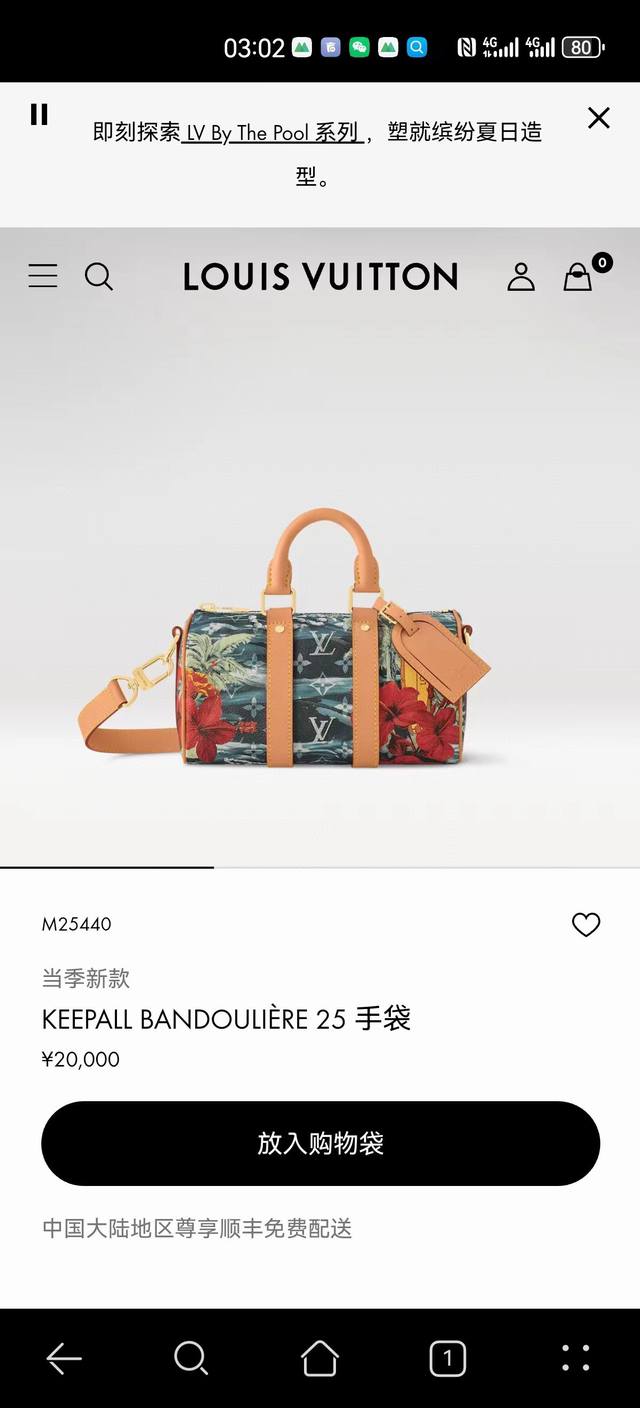 Dynamic Chip M25440 Original Keepall Bandouli