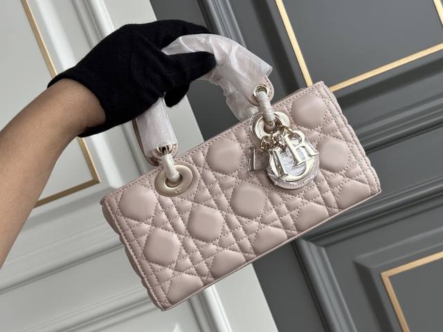 Double Eleven Sale Price: Original Price Brand New Small Horizontal Lady Dior Ba