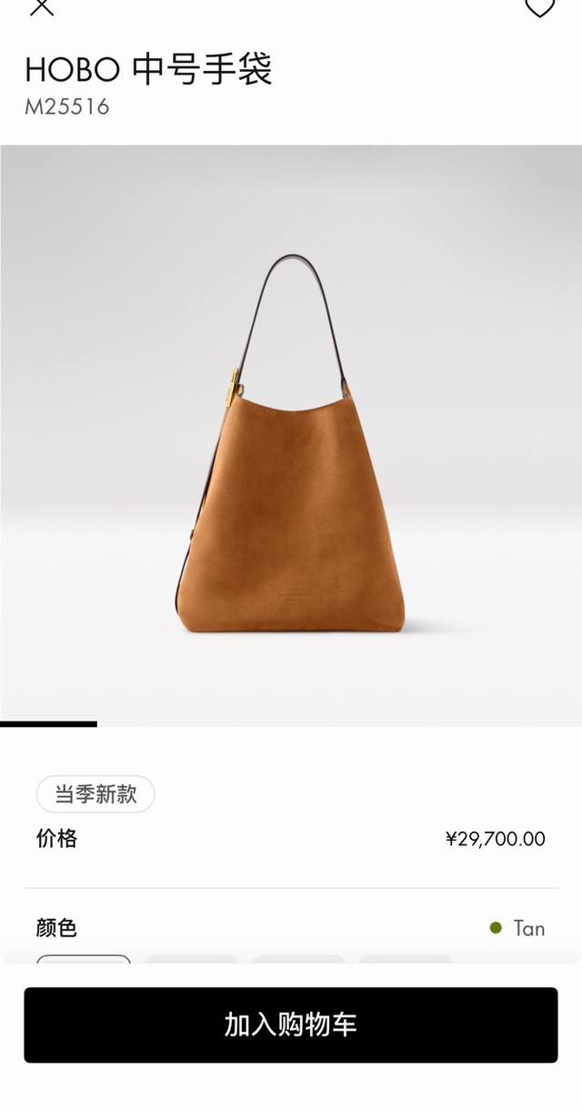 163C01 Chip M25516 Brown Top Original Individual Background Real Shot: This Hobo